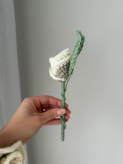 Cream & Beige Single Crochet Rose