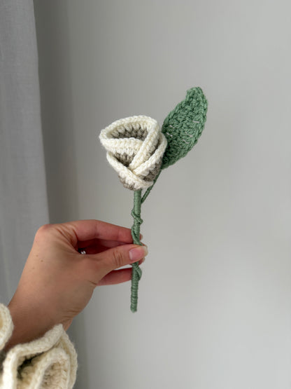 Cream & Beige Single Crochet Rose
