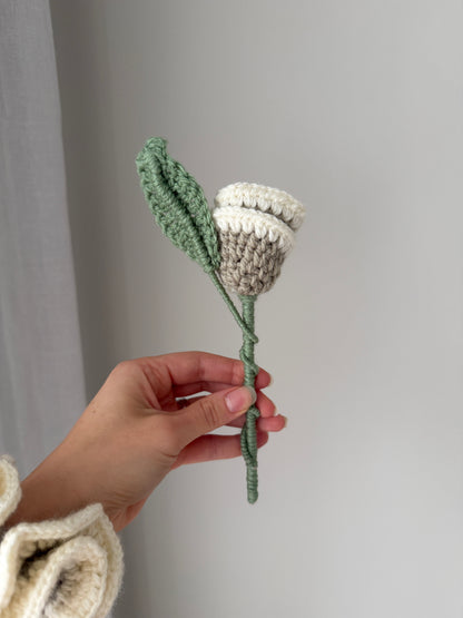 Cream & Beige Single Crochet Rose