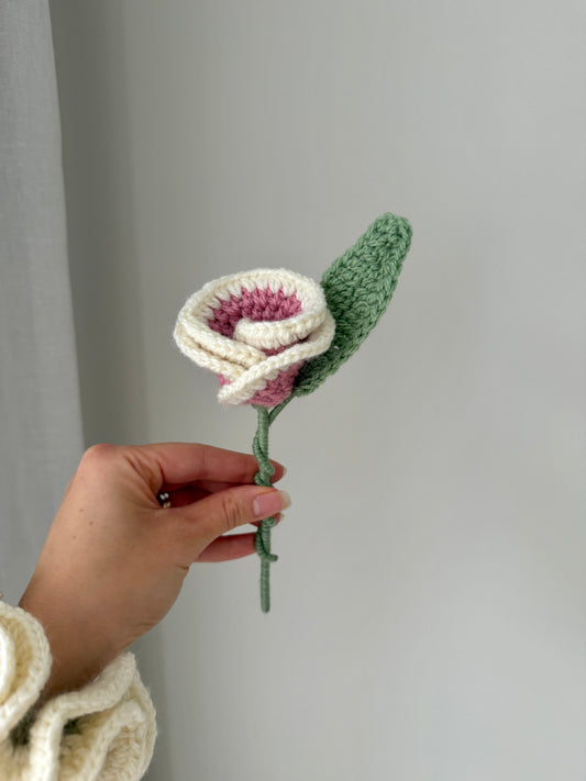 Pink & Cream Single Crochet Rose